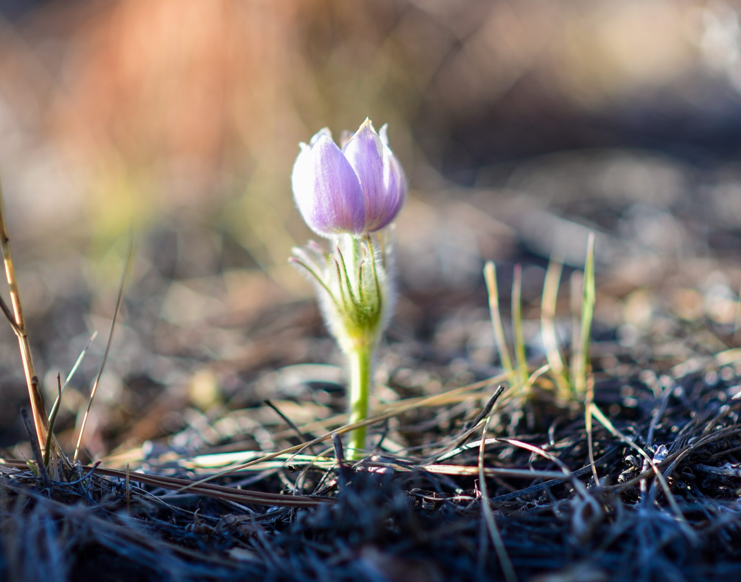 Spring Capacity Building Grantees Announced